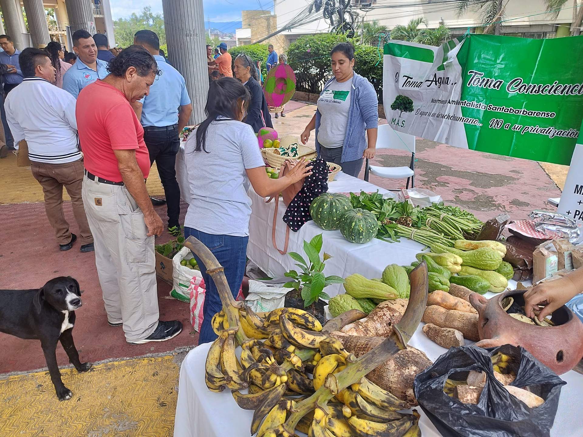 Feria Campesina 17/10/2023