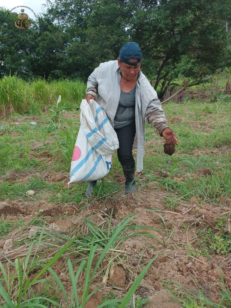 Agroecología