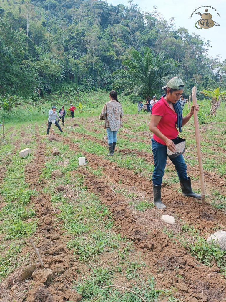 Agroecología